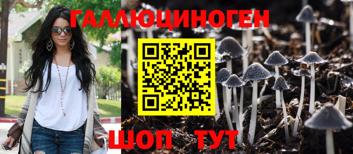 Псилоцибиновые грибы прущие грибы  Псилоцибиновые грибы мухоморы  Смоленск  Вход с VPN 