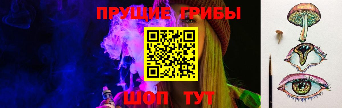 Галлюциногенные грибы Psilocybe Смоленск